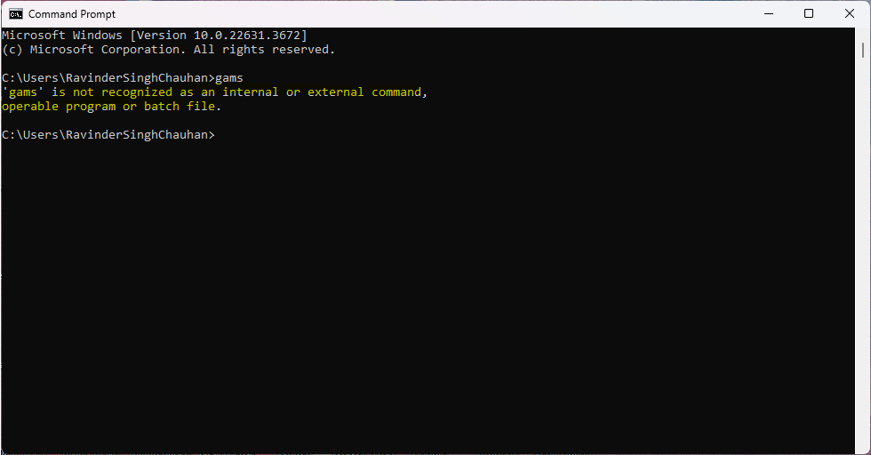../_images/gams_command_not_recognized.png
